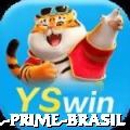 763brl Prime Brasil